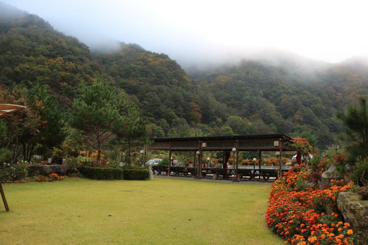 Moon On The Cloud Villa Yeongwol Dış mekan fotoğraf